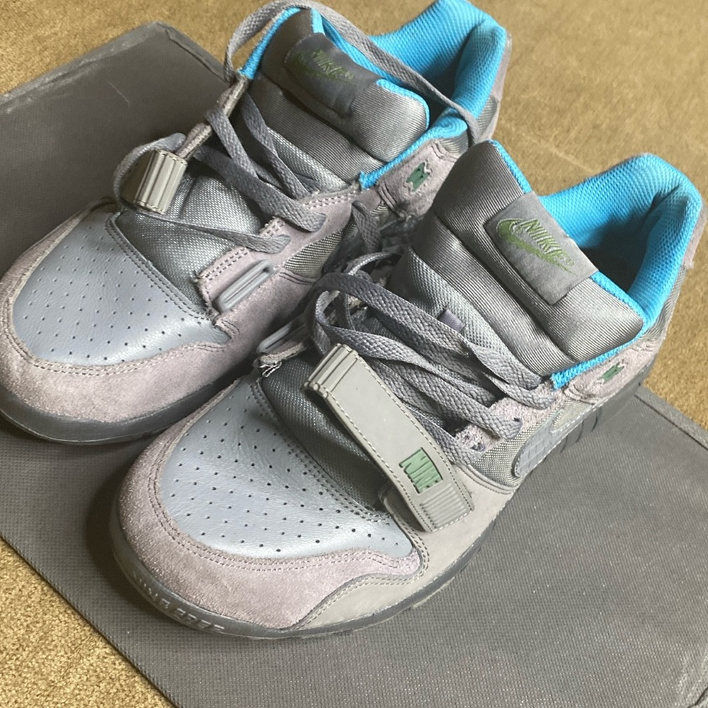 Nike Zoom/Dunk Free 5.0 (rare)